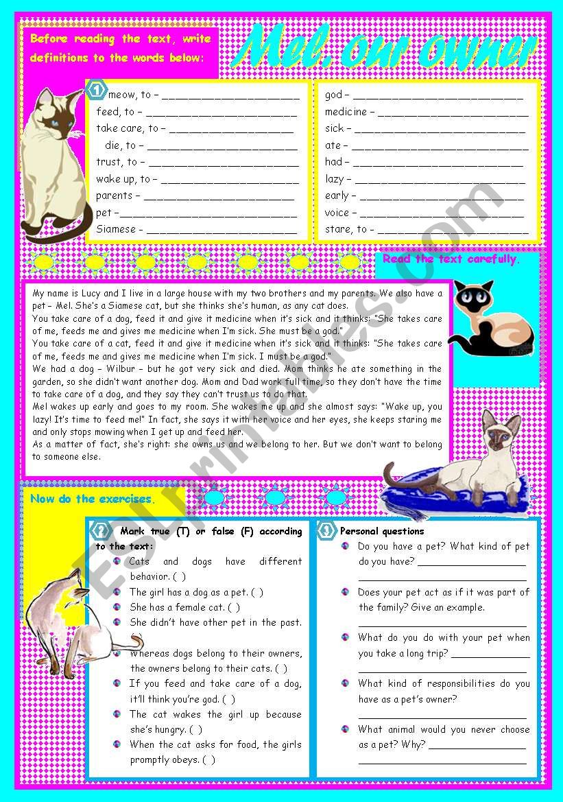 Mel, our owner  reading comprehension + grammar (the use of do/does/did to replace verbs) [6 tasks] KEYS INCLUDED ((3 pages)) *** editable